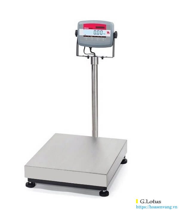 bench-scales-can-ban-dien-tu-hoa-sen-vang-60kg-150kg-ohaus-china-2