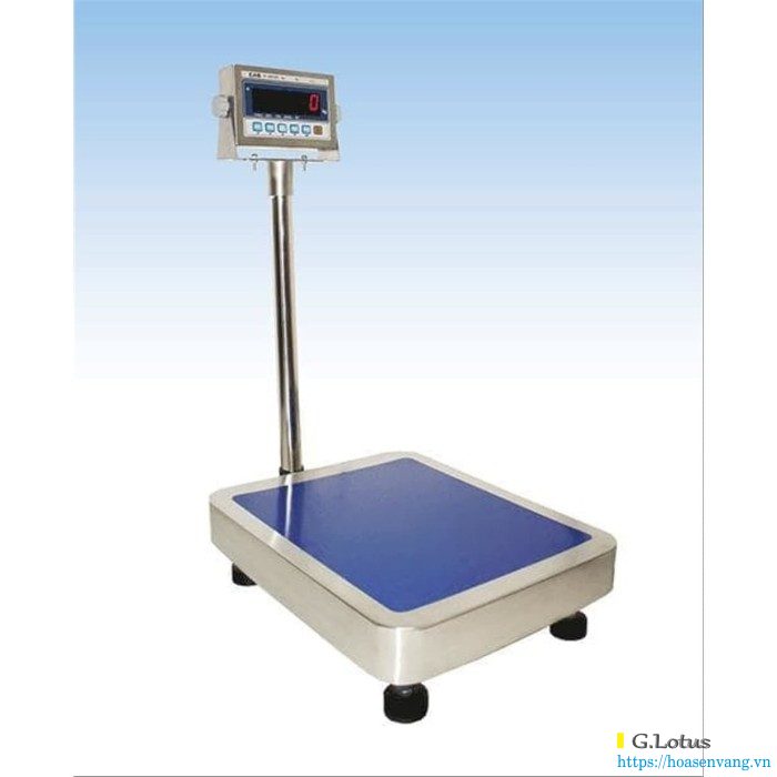 can-ban-dien-tu-cas-ci-2001as-sfsf-asdas1