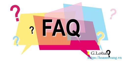 Faq-dini-argeo-lotusscale