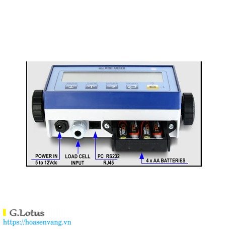 dau-can-dien-tu-dfwl-2022-4-hoasenvang.vn