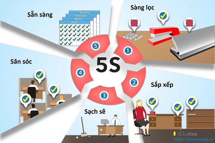 Tiện ích trong khoảng dụng cụ 5S trong sản xuất và kinh doanh Cân công nghiệp Hoa Sen Vàng