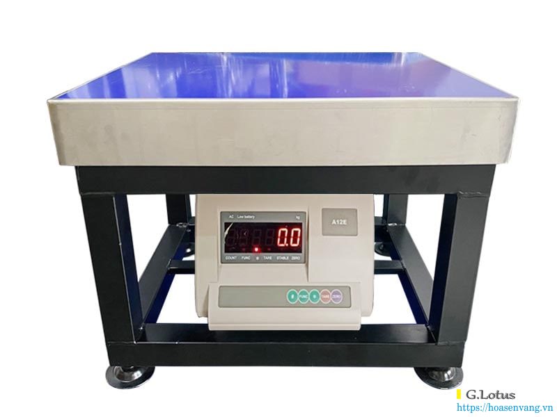 Nên dùng Cân Điện Tử Ghế 150kg: Giải Pháp Hiệu Quả Trong Việc Cân Những Nguyên liệu