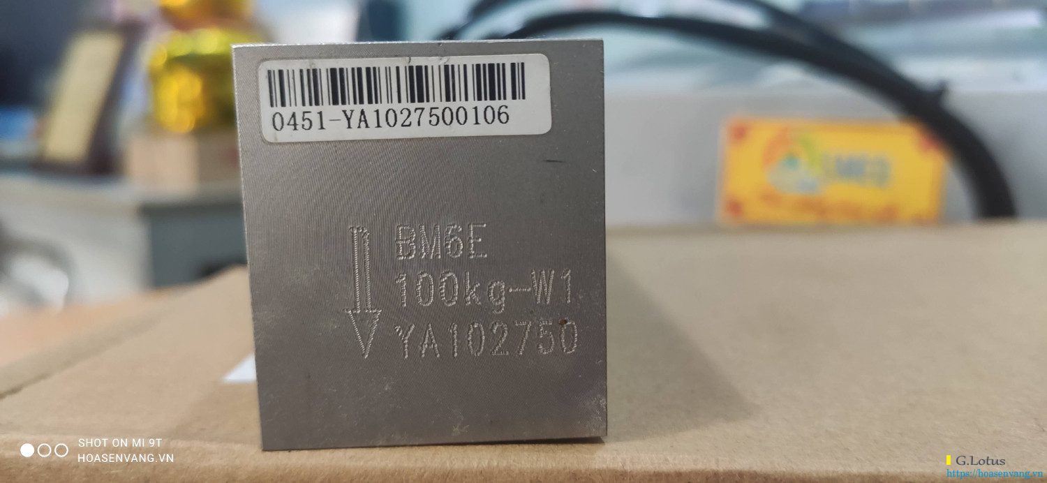 Load cell Zemic BM6E có đáng tin cậy