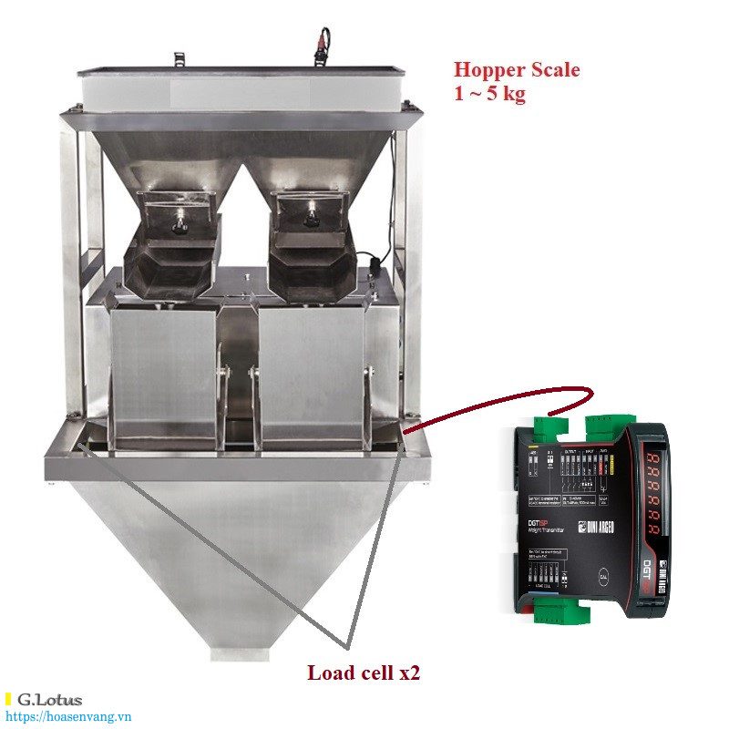 bulk weighing system hopper scale 2