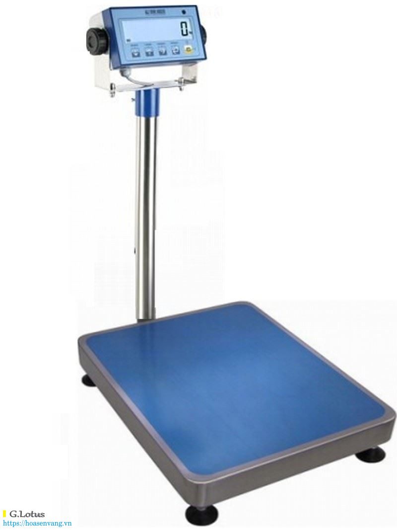 Cân bàn Dini Argeo DFWL-1 60kg chọn lựa hoàn chỉnh yêu cầu thương mại