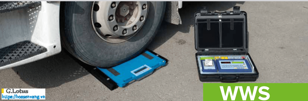 can truc banh can xach tay dien tu dini argeo by hoasenvang vn 10rre