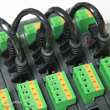 dau can dgt1s hoasenvang 3