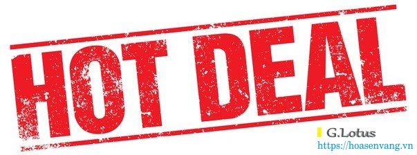 mua can dien tu hot deal hoasenvang dse2342 2