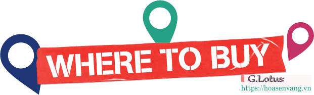 mua can dien tu where to buy hoasenvang ergerg34t34