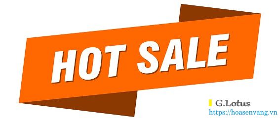 mua can dien tu hot sale hoasenvang 3232tr