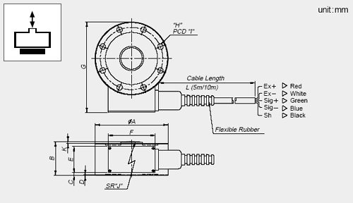 029_lsc_d-lsc.jpg