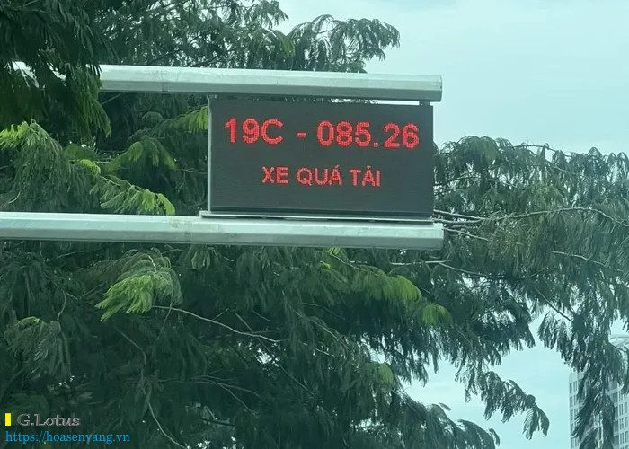 TP.Hồ Chí Minh gửi phạt nguội hơn 3,8 tỉ đồng phương tiện quá tải từ những trạm kiểm tra trọng lượng hiện đại