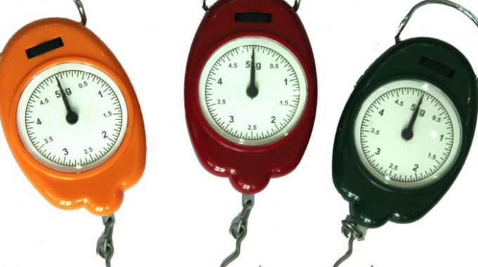 Cân Treo Mini WeiHeng