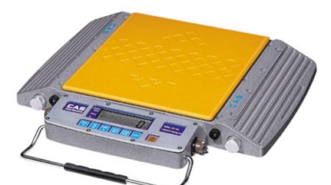 Cân ô tô xách tay CAS RW-05S 5TON / 2 Kg (KR) – CAS