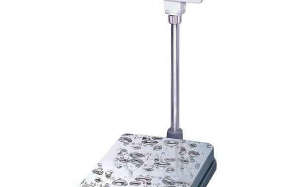 Cân tính giá cao cấp EBI series