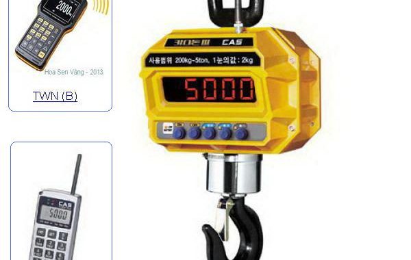 Thiết Bị Cân Công Nghiệp CASTON III WiFi – Đặt Mua Ngay Hôm Nay
