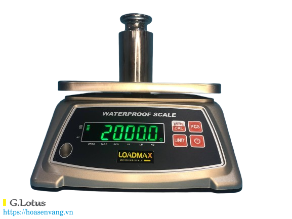Bàn Cân Thông Minh Bảo Vệ IP68 ZW‑5806 Loadmax – Hiện Đại Đo Trọng Lượng Cực Chuẩn, Độ Bền Cao Trong Môi Trường Khắc Nghiệt